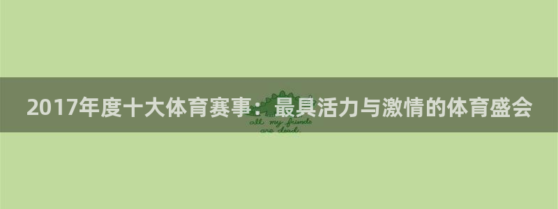 2017年度十大体育赛事：最具活力与激情的体育盛会