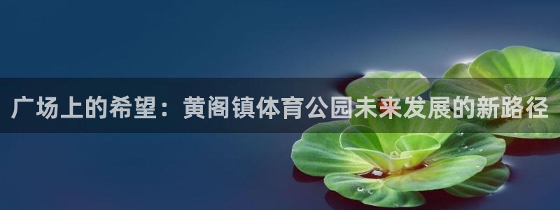 广场上的希望：黄阁镇体育公园未来发展的新路径