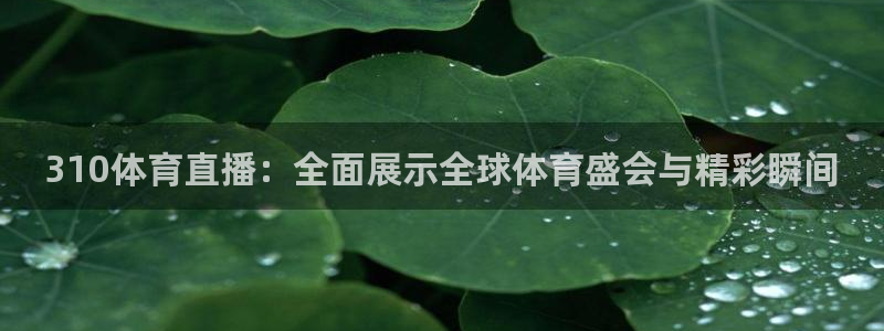 310体育直播：全面展示全球体育盛会与精彩瞬间