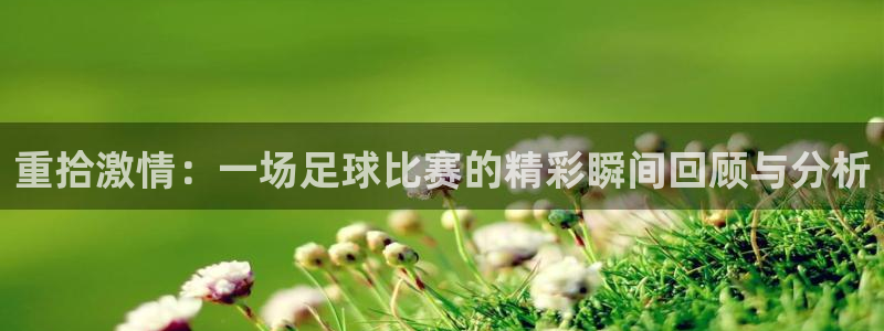杭州意昂科技有限公司：重拾激情：一场足球比赛的精彩瞬间回顾与分析