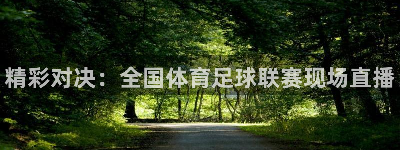 意昂2平台招商：精彩对决：全国体育足球联赛现场直播